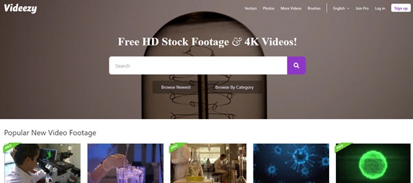 Videezy Video Site