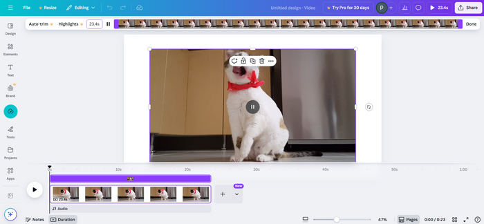 Canva