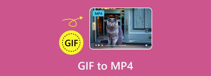 Contributor headache Replenishment Лучшие методы 15 для преобразования GIF в MP4 на Windows / Mac / iPhone /  Android