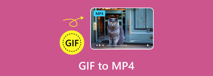 GIF to Video Converter: Convert GIF to MP4/MOV/AVI/WMV/MPG Video