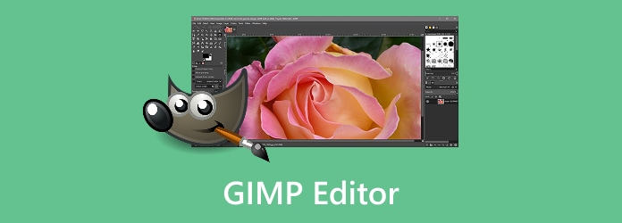 GIMP Editor Review