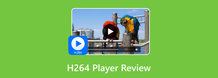 H.264 Player Review