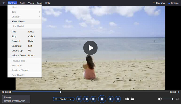 Play H264 File