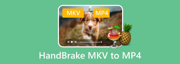 Handbrake MKV to MP4