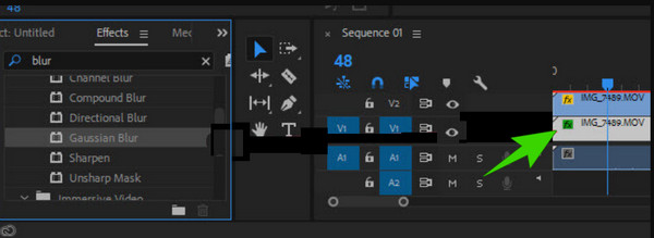 Premiär Aspect Ratio Layer