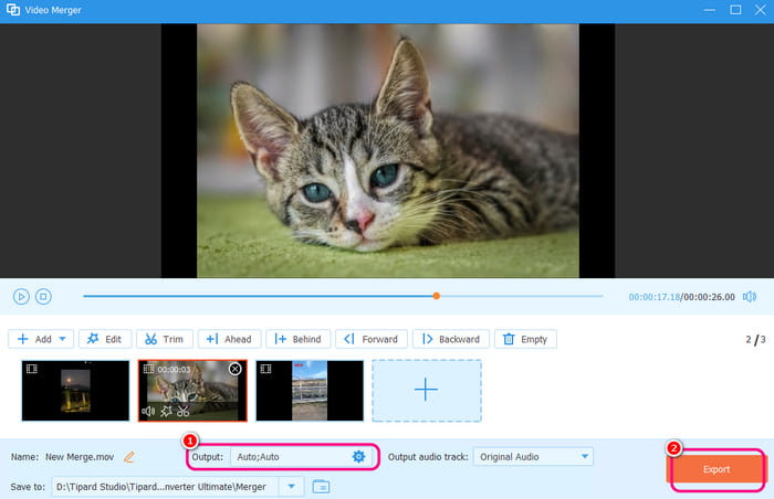 Export Merged Edited Video Tipard