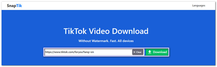 Snaptik Free Tiktok Watermark Remover