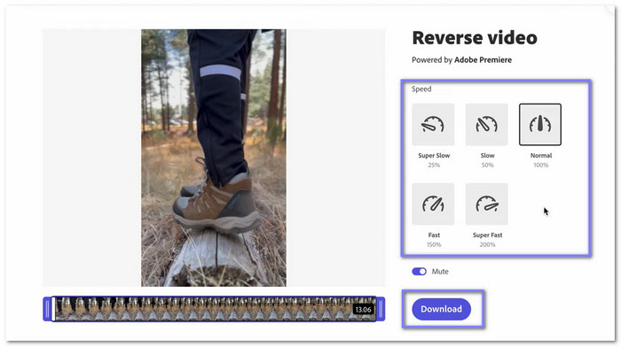 Adobe Express Reverse A Video Free Online