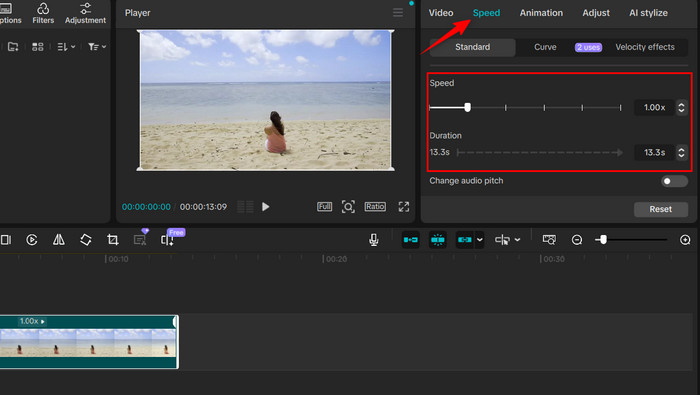 Adjust Video Speed
