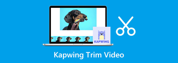 Kapwing Trim -videon käyttäminen