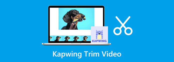 Come usare Kapwing Trim Video