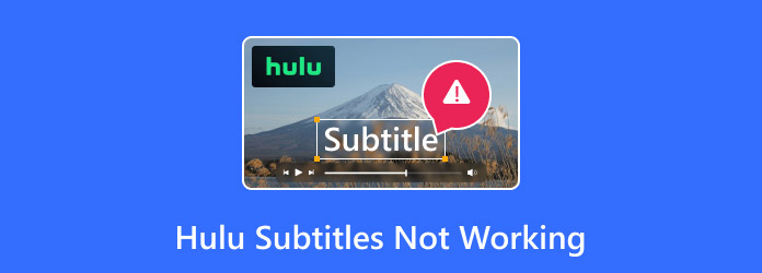 Hulu Subtitles Not Working