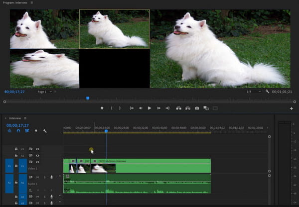 Adobe Premiere Pro