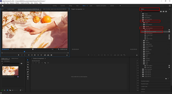 Luminosità e contrasto di Premiere Pro