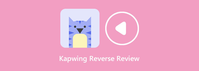 Kapwing Reverse Review