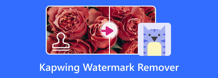 Kapwing Watermark Remover