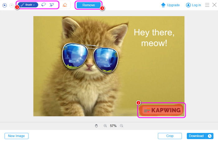 Remove Watermark From Image Tipard