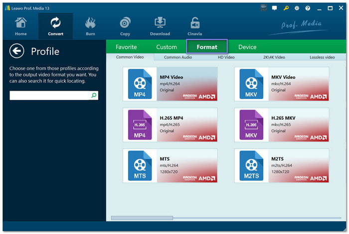 Pick The Output Format