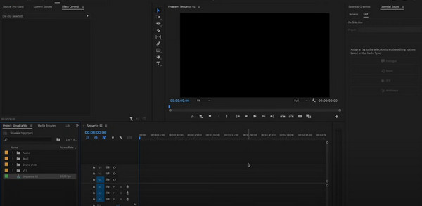 Adobe Premiere Pro