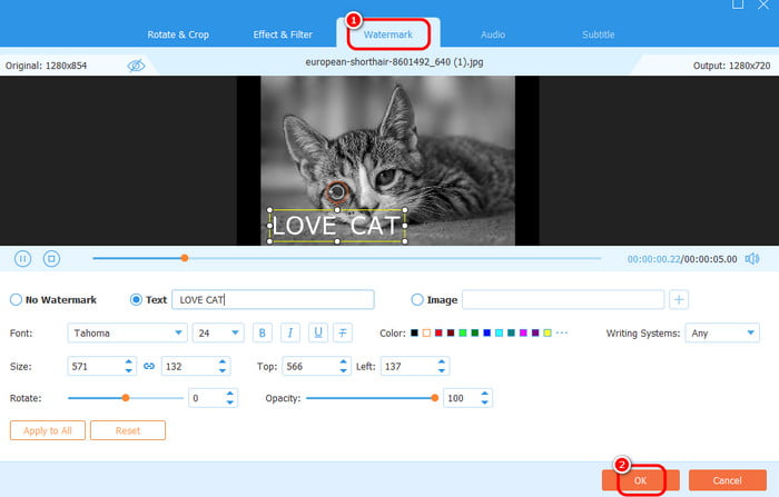 Add Watermarks Tipard