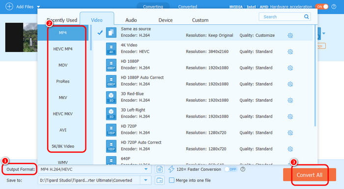 Output Convert Save Edited Vlog Tipard