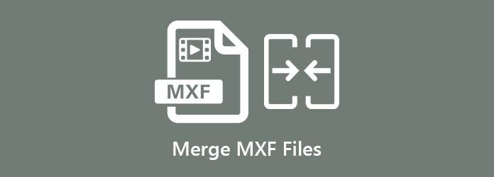 MXFファイルをマージする