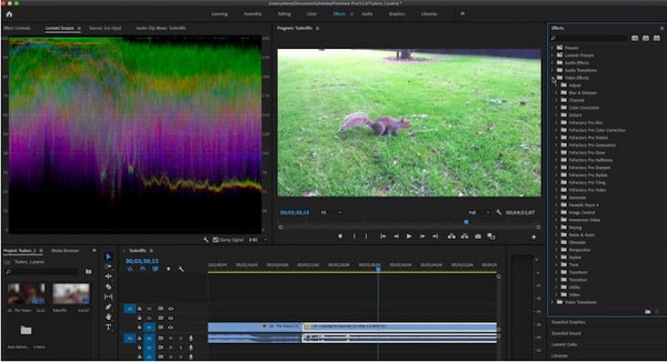 Adobe Premiere Proの