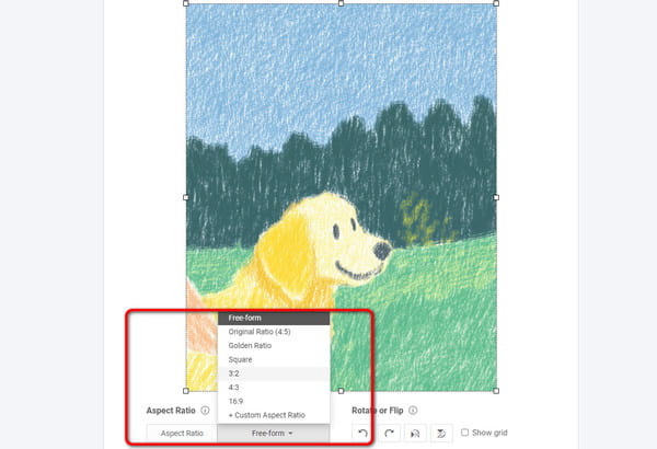 Select Preferred Aspect Ratio