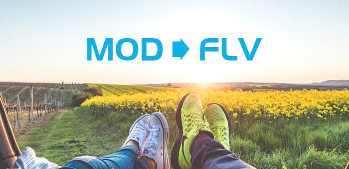 MOD till FLV