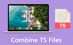 Kombiner TS -filer