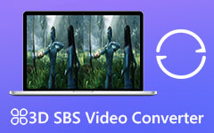 3D SBS-converter