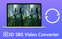 Convertisseur SBS 3D