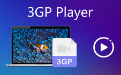 3GP player
