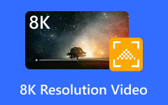 8K Resolution Video