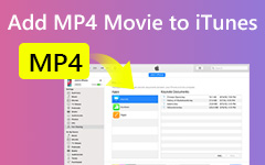 Añadir MP4 Movie a iTunes