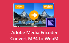 Adobe Media Encoder Convert MP4 to WebM