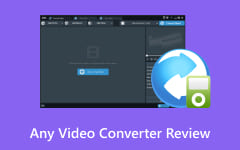 Any Video Converter Review