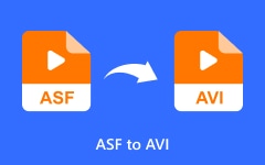 ASF a AVI