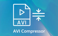 Compressore AVI