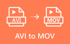 AVI To Mov