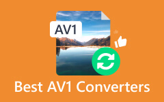 Meilleurs convertisseurs AV1