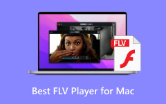 Best FLV Player for Mac