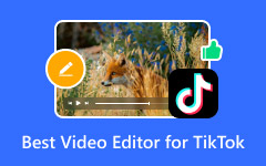 Best Video Editor For Tiktok