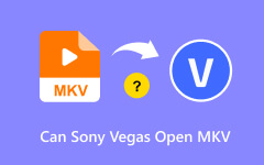 Sony Vegas Is Not Supported