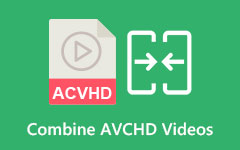 Combina file video AVCHD