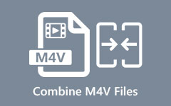 Yhdistä M4V-tiedostot