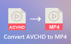 AVCHD'yi MP4'e Dönüştür