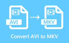 AVI'yi MKV'ye dönüştürme