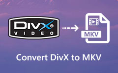 Převést DIVX na MKV