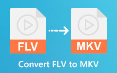 Converteer FLV naar MKV